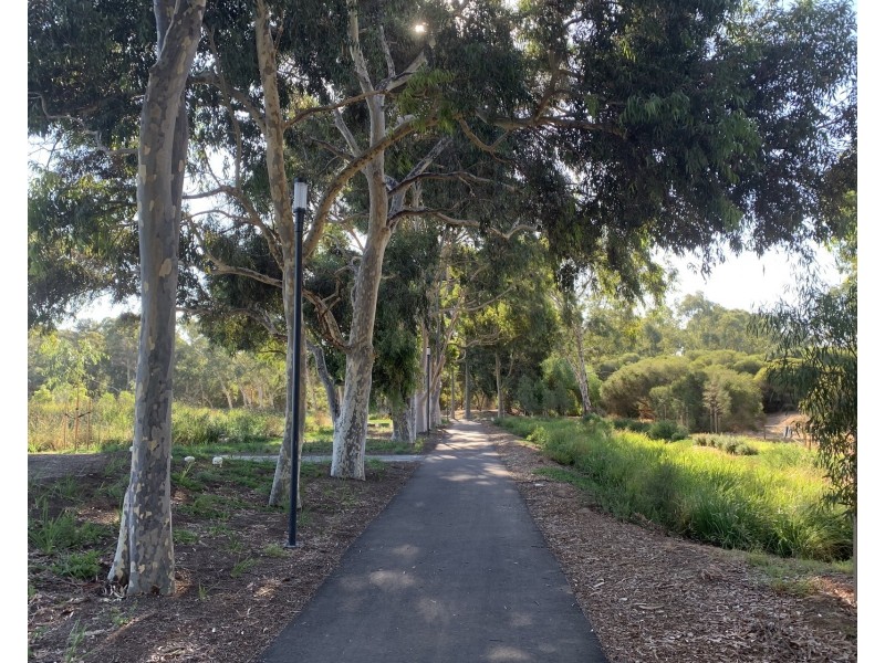 5 Vincent Court, Campbelltown SA 5074