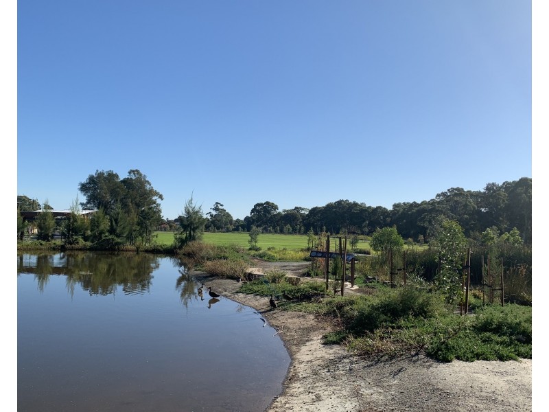 5 Vincent Court, Campbelltown SA 5074