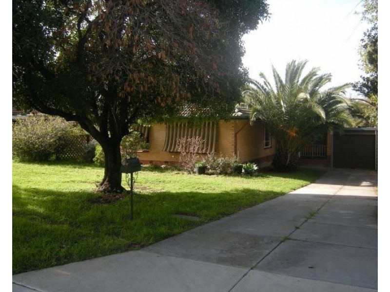 7 Harcourt Terrace, Modbury SA 5092