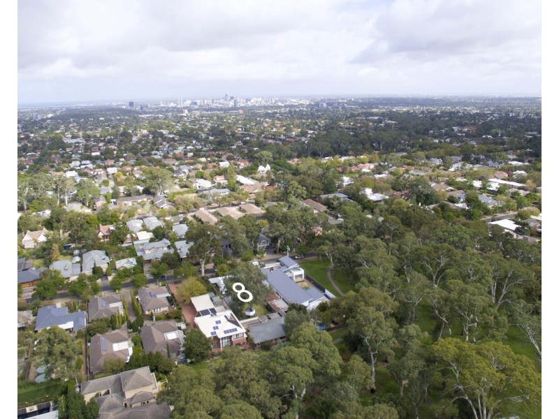 8 Hazelwood Avenue, Hazelwood Park SA 5066