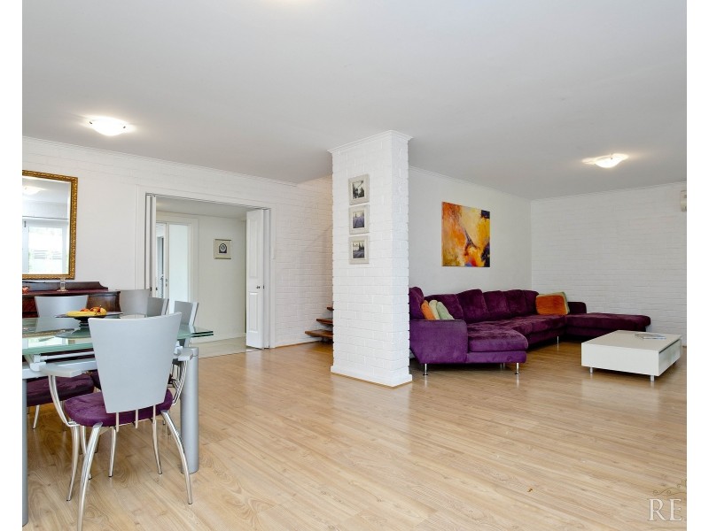 8 Hazelwood Avenue, Hazelwood Park SA 5066