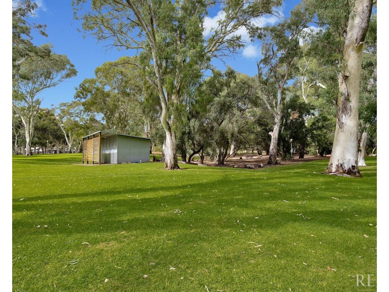 8 Hazelwood Avenue, Hazelwood Park SA 5066