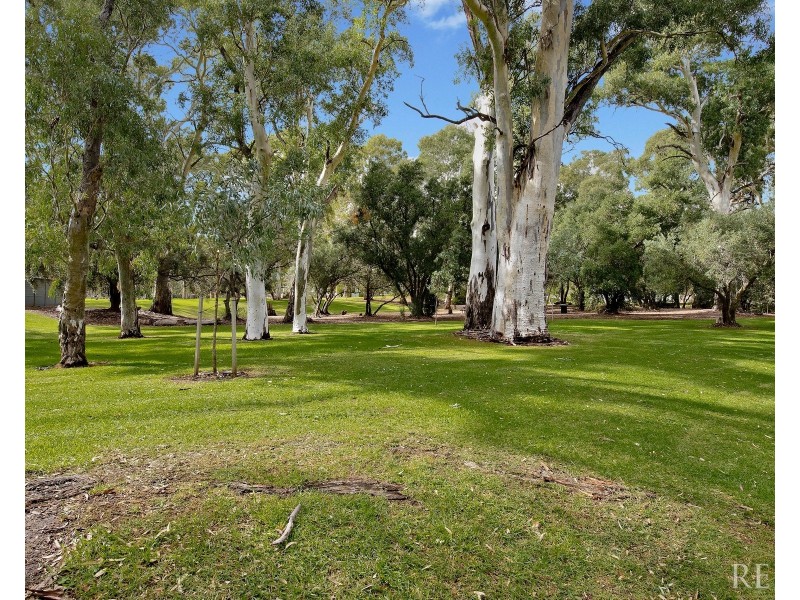 8 Hazelwood Avenue, Hazelwood Park SA 5066