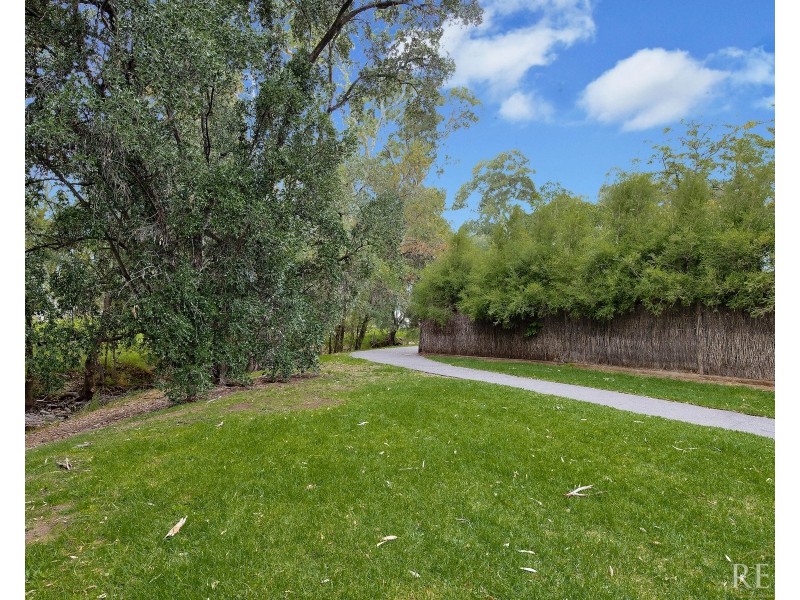 8 Hazelwood Avenue, Hazelwood Park SA 5066