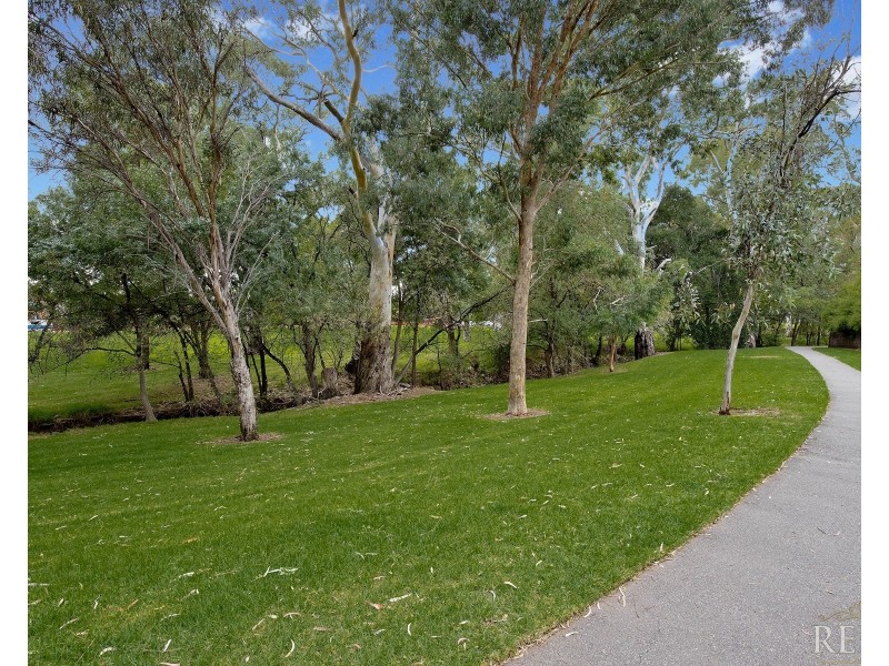 8 Hazelwood Avenue, Hazelwood Park SA 5066