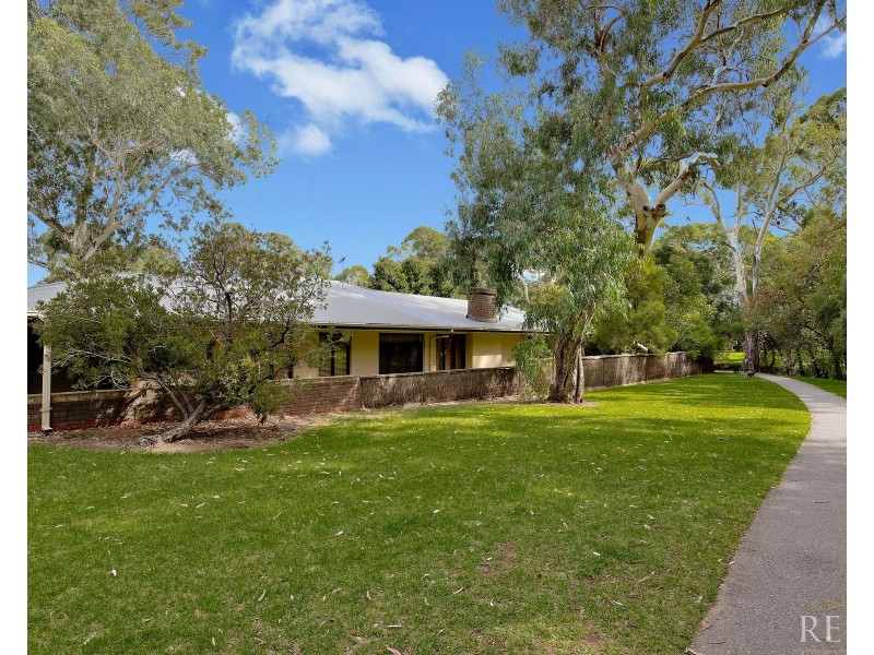 8 Hazelwood Avenue, Hazelwood Park SA 5066