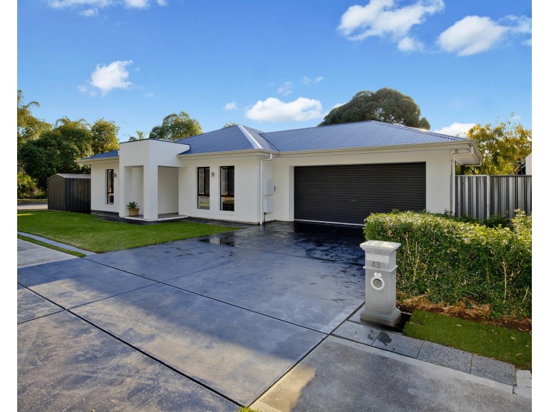 43 Minchinbury Terrace, Marion SA 5043