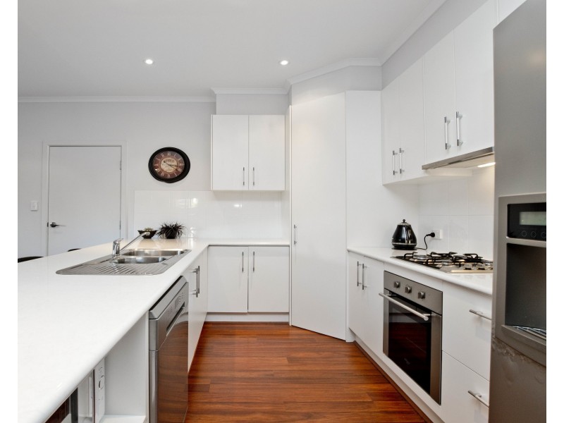 43 Minchinbury Terrace, Marion SA 5043