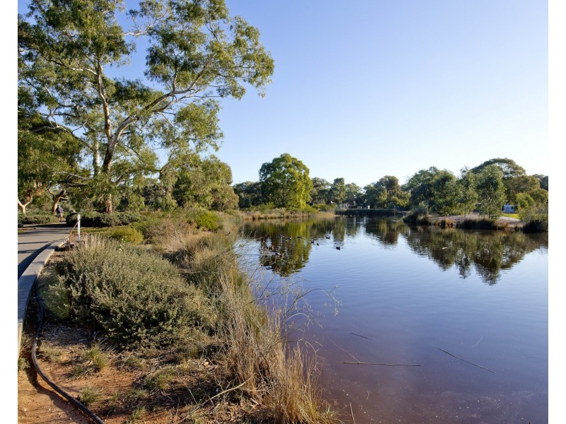 43 Minchinbury Terrace, Marion SA 5043