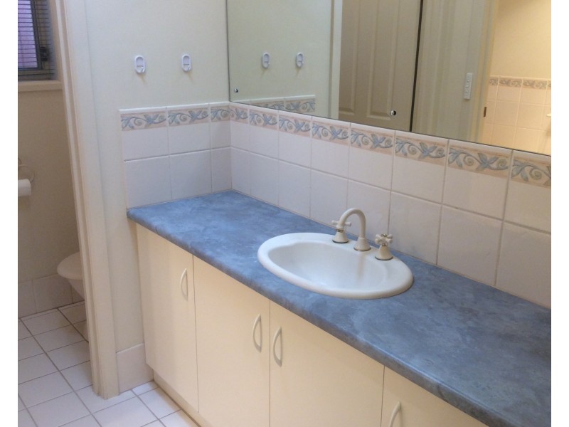53C Farnham Road, Ashford SA 5035