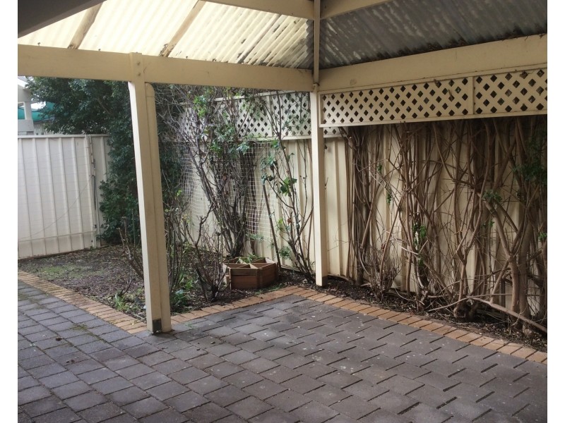 53C Farnham Road, Ashford SA 5035