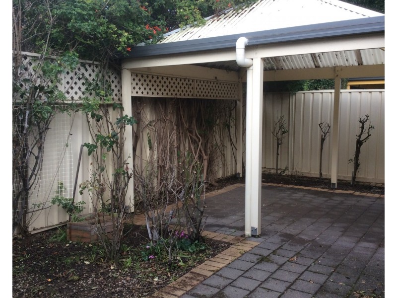 53C Farnham Road, Ashford SA 5035