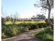 21 Devitt Avenue, Payneham South SA 5070