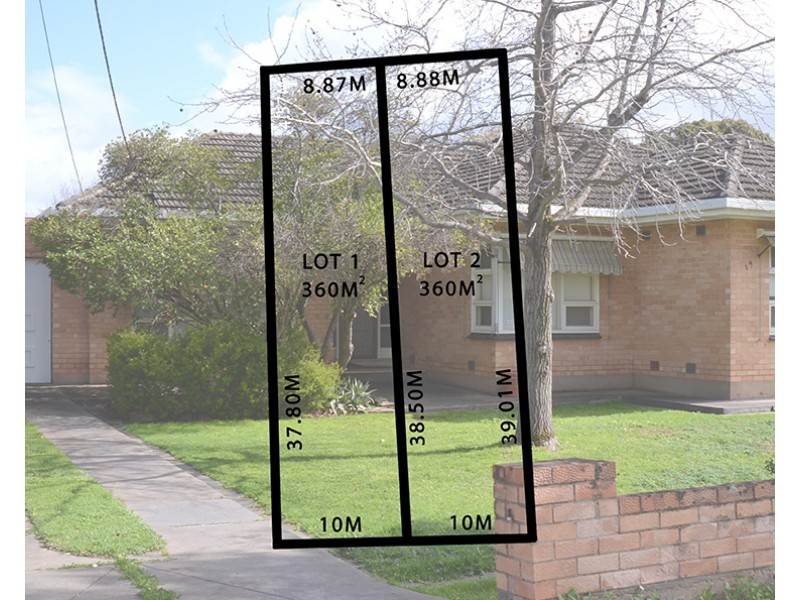 19 Osborn Terrace, Plympton SA 5038