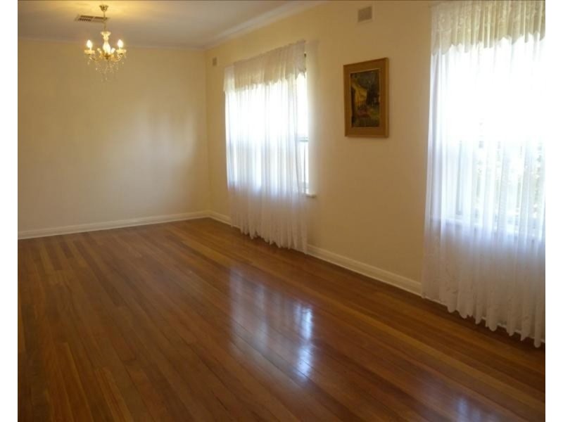 19 Osborn Terrace, Plympton SA 5038