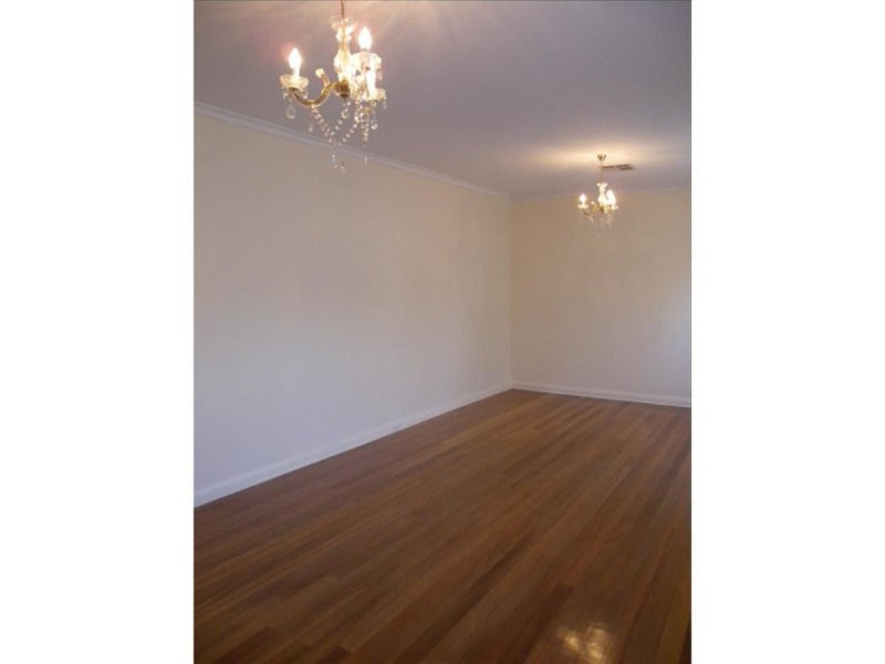 19 Osborn Terrace, Plympton SA 5038