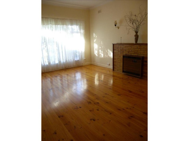 19 Osborn Terrace, Plympton SA 5038