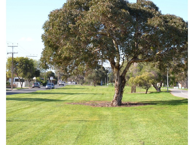 19 Osborn Terrace, Plympton SA 5038