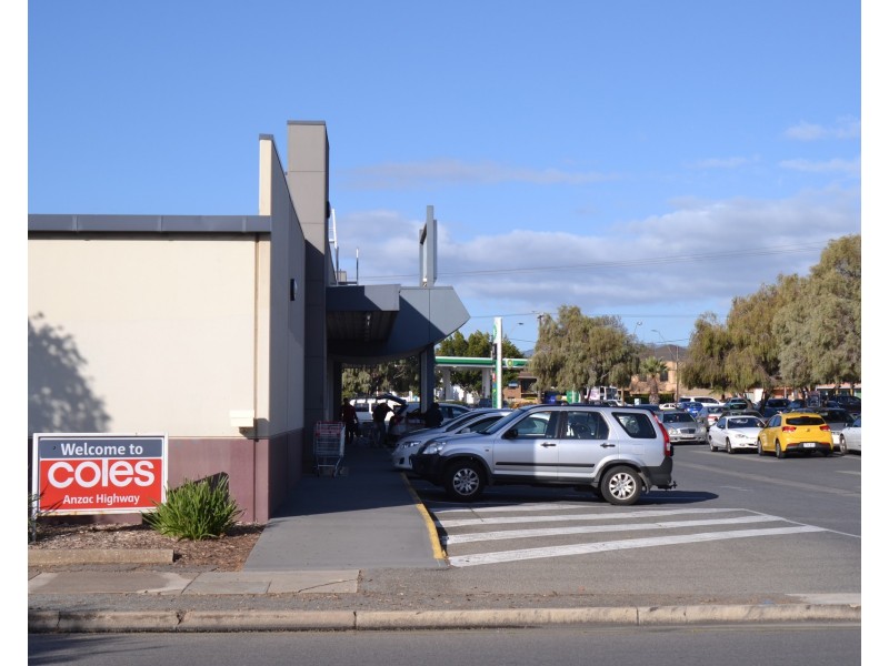 19 Osborn Terrace, Plympton SA 5038