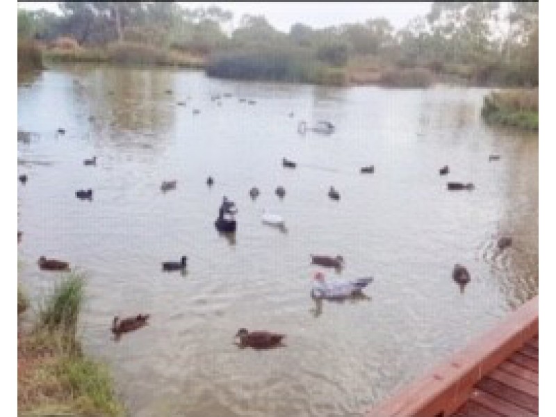 2 Lancelot Grove, Burton SA 5110