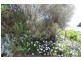 Lot 16 North Terrace, Penneshaw SA 5222