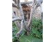 Lot 16 North Terrace, Penneshaw SA 5222