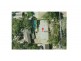5 Morland Avenue, Stonyfell SA 5066