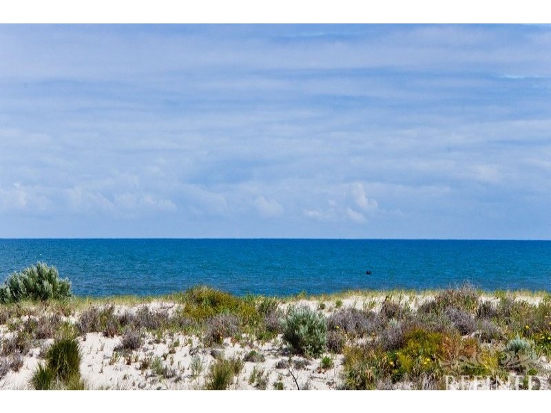 64 Swan Street, Grange SA 5022