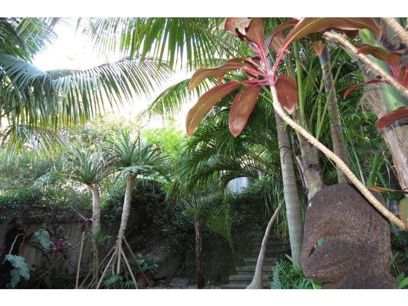 31 Rickard Avenue, Bondi NSW 2026