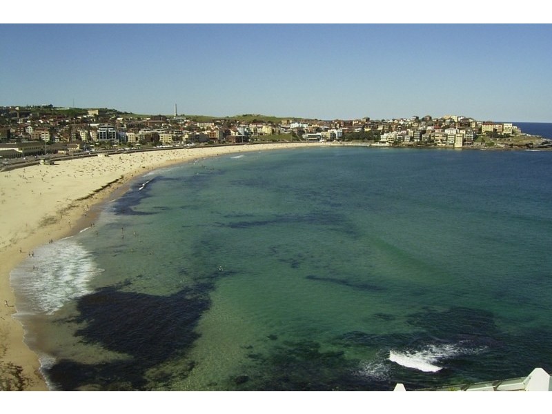 3/12 Wilga Street, Bondi Beach NSW 2026
