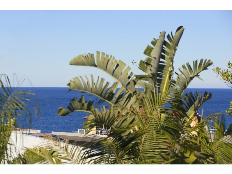 1/2 Dellview Street, Tamarama NSW 2026