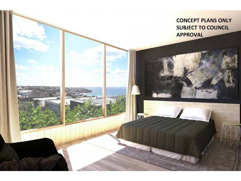 132 MacPherson Street, Bronte NSW 2024