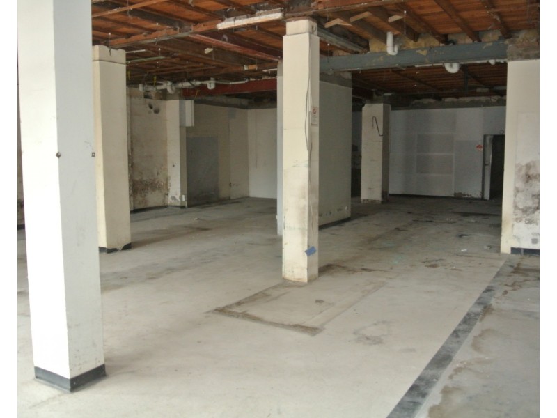 142 Curlewis Street, Bondi Beach NSW 2026