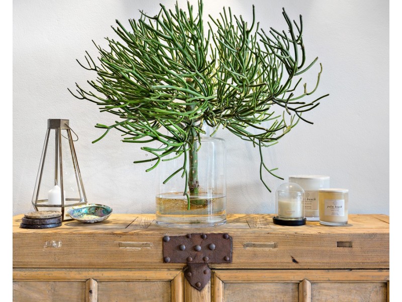 18/16 Military Road, North Bondi NSW 2026