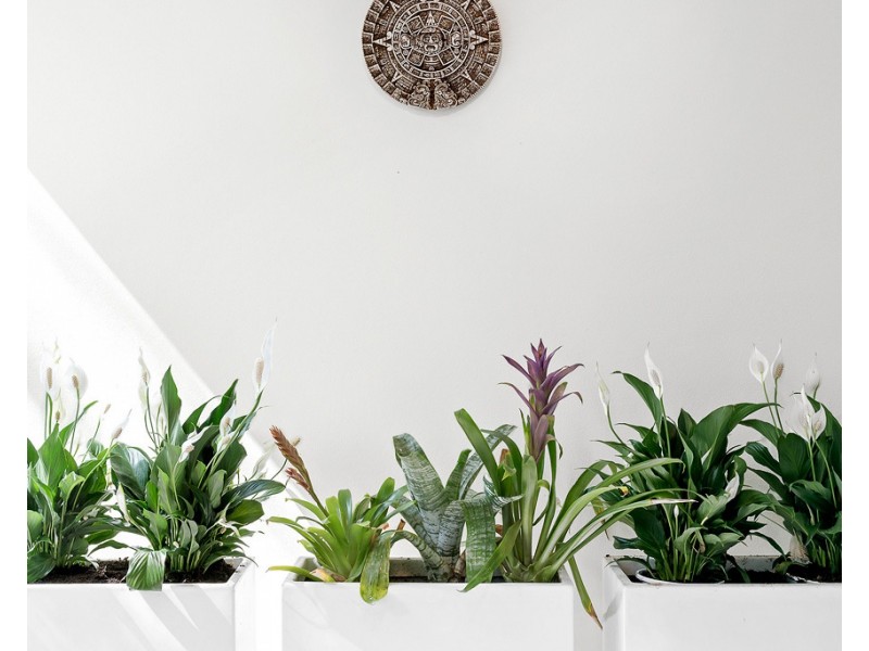 215/10 Jaques Avenue, Bondi Beach NSW 2026