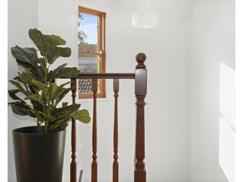 39 Helena Street, Randwick NSW 2031