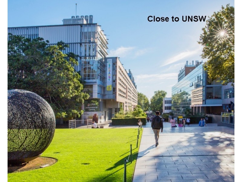 39 Helena Street, Randwick NSW 2031