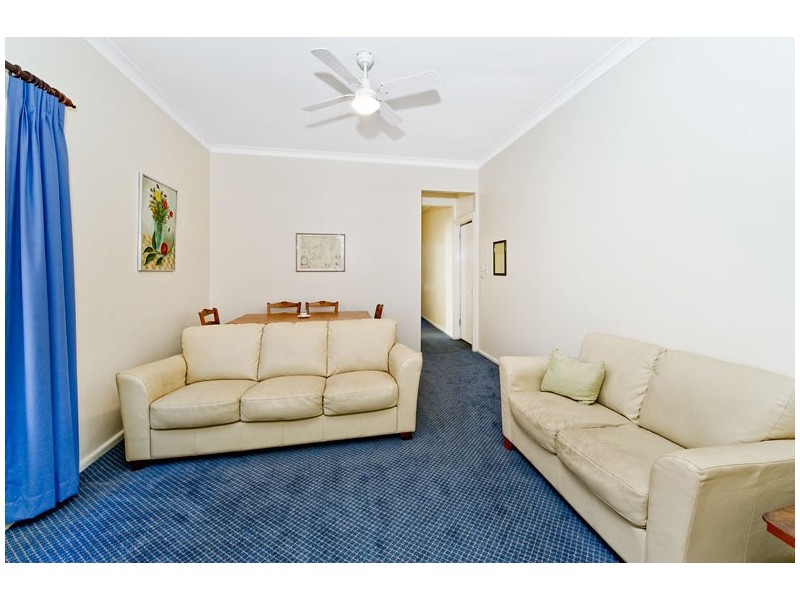 127 MacPherson Street, Bronte NSW 2024