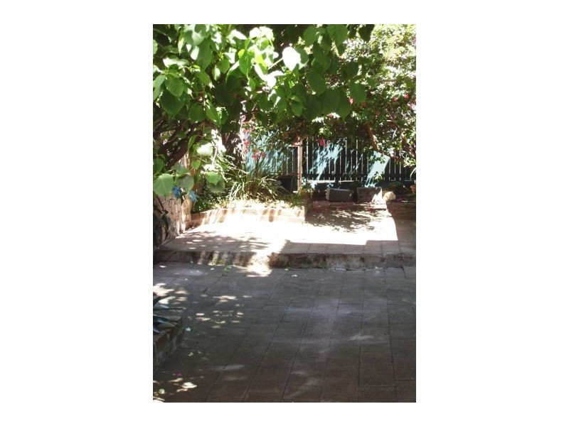 17 Olive Street, Paddington NSW 2021