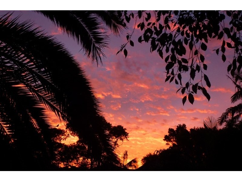 1 Chambers Avenue, Bondi Beach NSW 2026