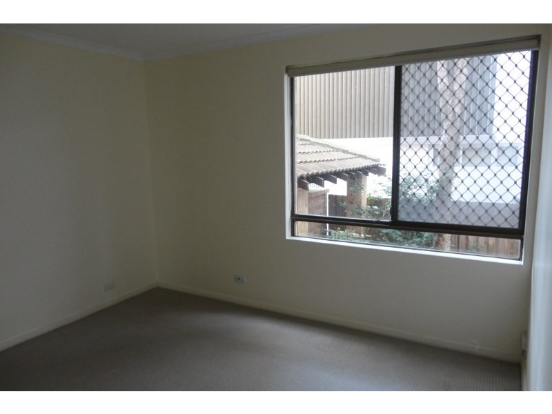 Unit 1/66 Penkivil Street, Bondi NSW 2026