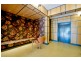Unit 511/188 Chalmers Street, Surry Hills NSW 2010