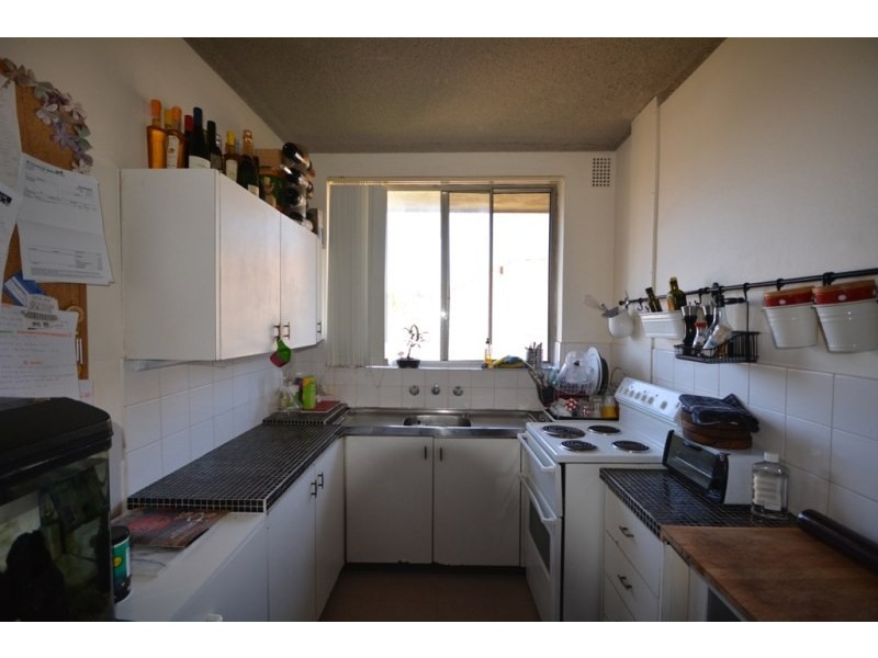 8/69 Cowper Street, Randwick NSW 2031