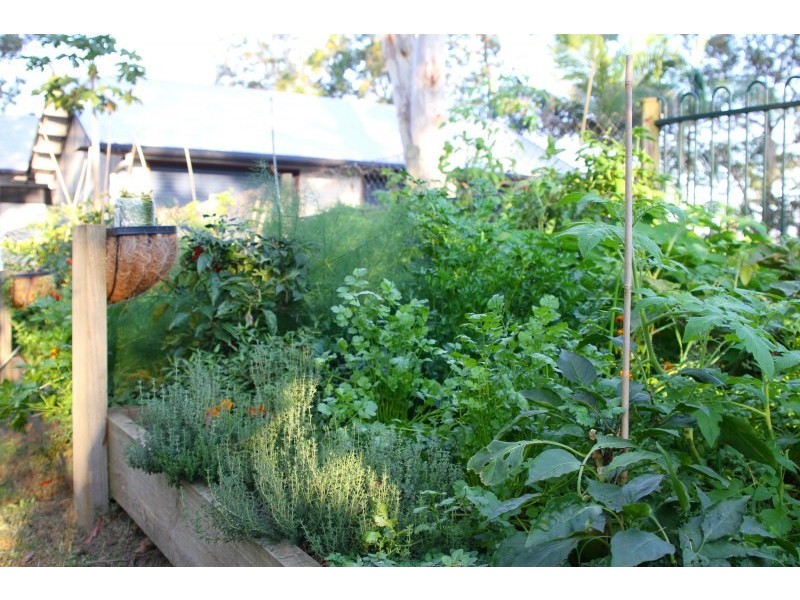 61 Whistler Ridge Drive, Yandina Creek QLD 4561