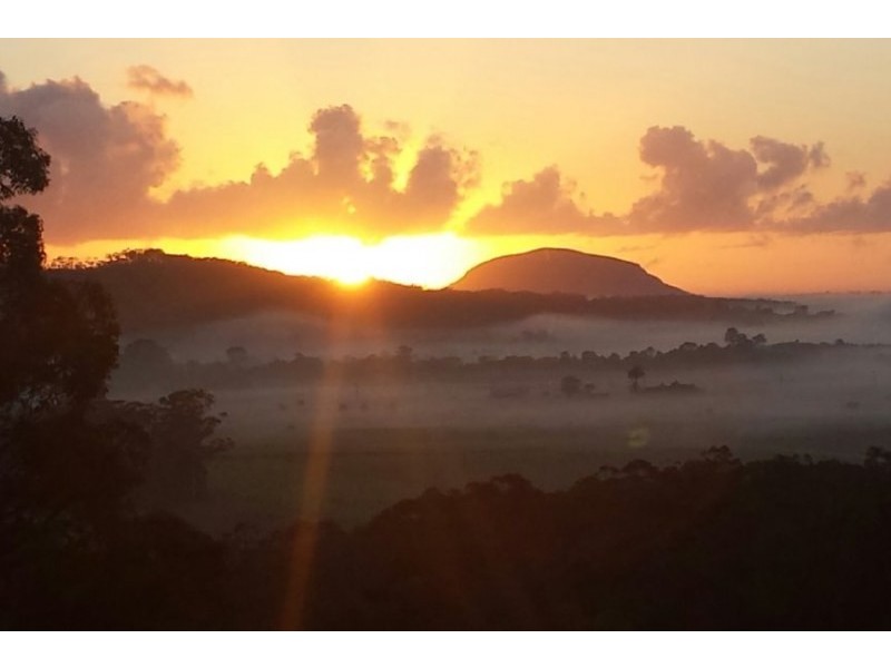 61 Whistler Ridge Drive, Yandina Creek QLD 4561