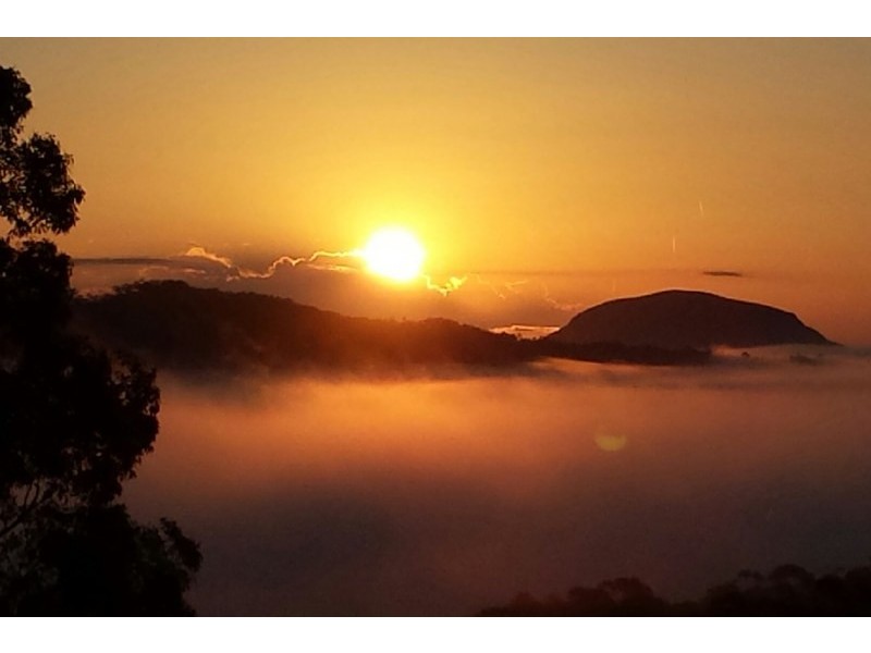 61 Whistler Ridge Drive, Yandina Creek QLD 4561