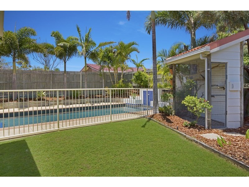 5 Calliandra Grove, Peregian Beach QLD 4573