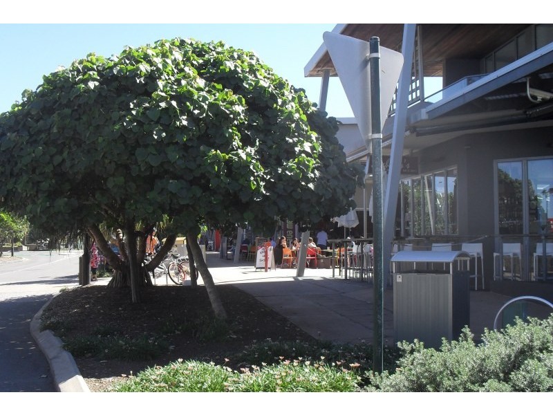 8/45 Lorikeet Drive, Peregian Beach QLD 4573