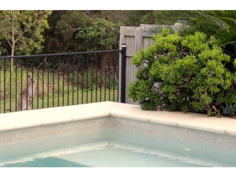 46. Sandhurst Crescent, Peregian Springs QLD 4573