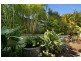 16 Maddens Crescent, Peregian Springs QLD 4573